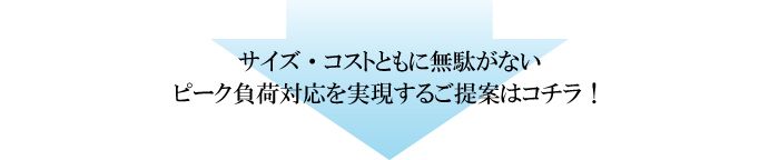 サイズ・コストともに無駄がないピーク負荷対応を実現するご提案はコチラ!